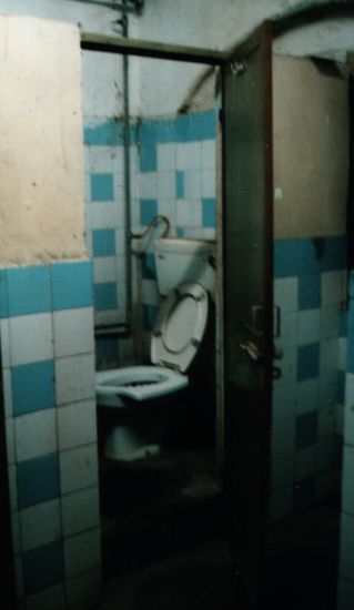 "Retiring room"-Toilette (2008). Beachte diese Kombi-Variante. Man kann auf der Schüssel auf dem extra breiten Rand auch "traditionell" hocken (engl. squat).