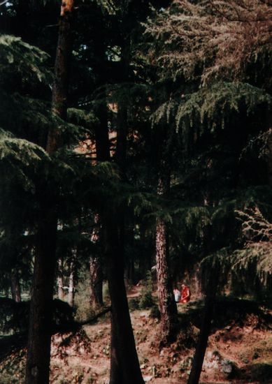 Persönliches Beratungsgespräch im Walde.