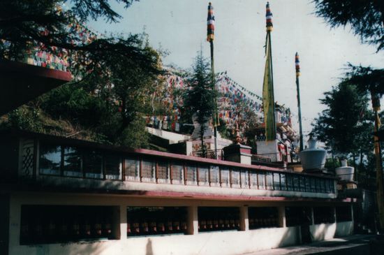Gebetsmühlen an der Nordmauer der Residenz des Dalai Lama, die man gefälligst nur im Uhrzeigersinn umschreiten sollte (45-60 min, durch teilweise schönen Nadelwald). Der im tibetischen Stil gehaltenen Tempel ist tagsüber frei zugänglich, bietet aber baulich wenig. Im Inneren mit Souvenir- und Buchshop.