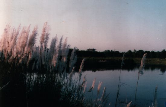 Lumbini, Blick über den See. Im Hintergrund der 2008 noch unvollendete koreanische Tempel mit Übernachtungsmöglichkeit (300 NRs inkl. Vollpension).