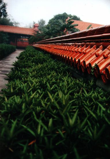 Detailansicht des chinesischen Maitreya-Tempels im Lumbini-Park des Morgens.