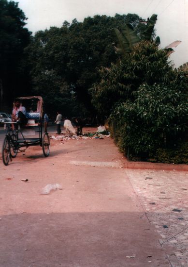 Bodhgaya ist und bleibt in Indien: Riksha, Kuh und Müll.