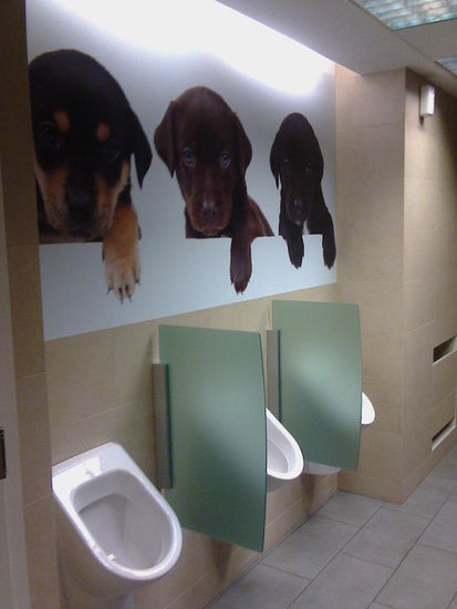 Hat mit dem Standard DB-Bahnhofsklo wenig gemeinsam (vor allem nicht den Geruch). Auch die überteuerten McShit-Filialen in deutschen Großsstädten sind keine Konkurrenz.