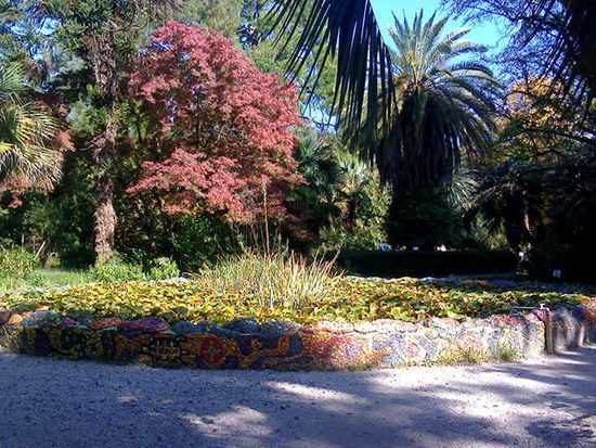 Der einzige gepflegte Ort in Suchumi ist der botanische Garten, dessen Hauptattraktion eine 300 Jahre alte Linde ist.