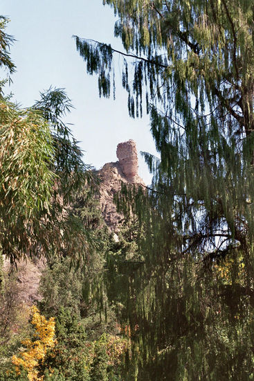 Blick vom botanischen Garten auf die Festungsruine.