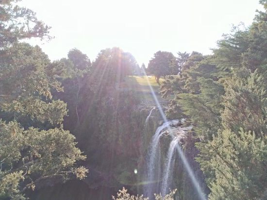 Whangarei Falls