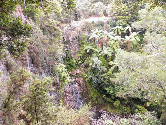 tiefes, bewachsenes Tal