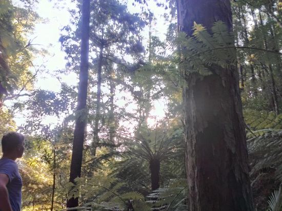 Auf dem Weg zum Gipfel