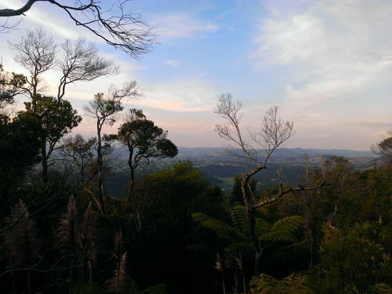 Ausblick vom "falschen" Mount Parihaka