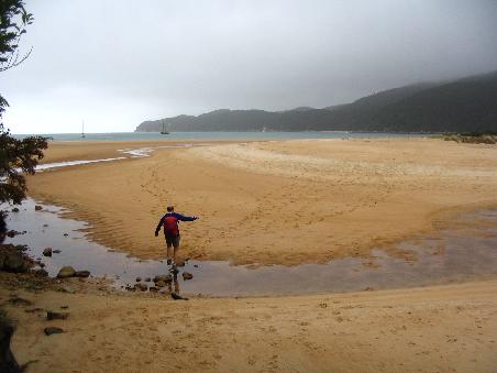 wattwandern im abel tasman n.p.