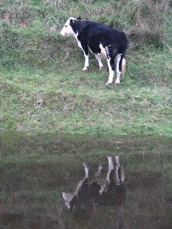 ..der beweis!