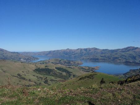 insel vor christchurch
