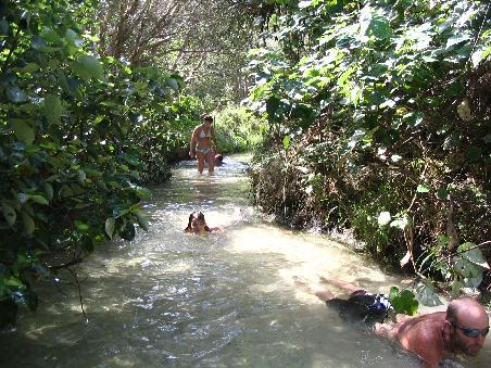naturbach aus dem regenwald, schoen frisch und ebenfalls supersauber