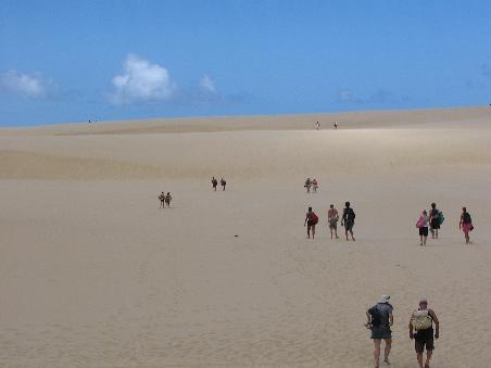 sahara auf fraser island