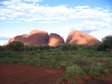 Olgas
