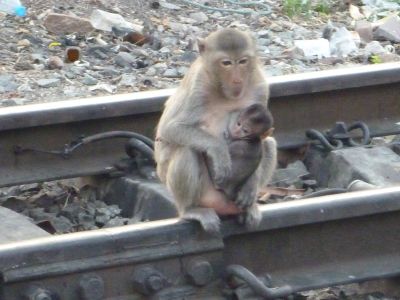 ...Bahnschienen...