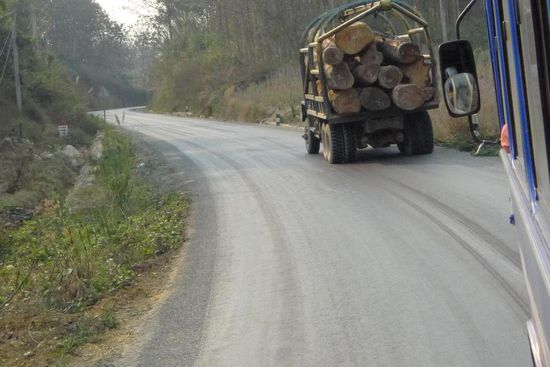 Lastwagen mit grossen Holzladungen werden mit lautem Hupen überholt