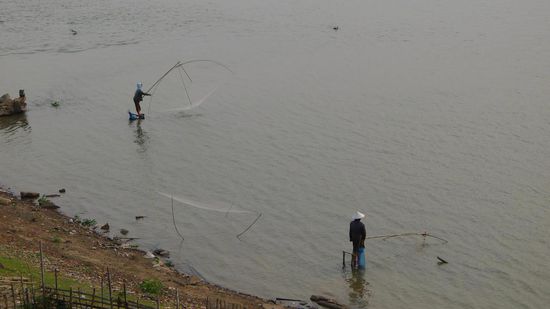 ....die mit Netzen an langen Stöcken fischen