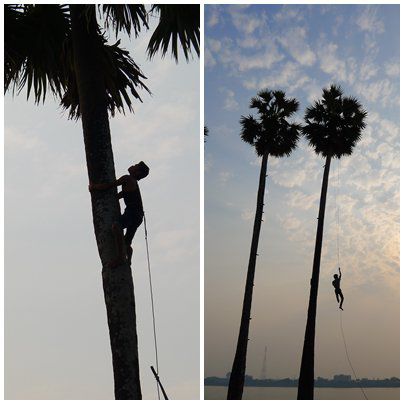 Artistisches Spektakel an der Sugar Palm, ohne Netz und doppelten Boden wird hier gearbeitet