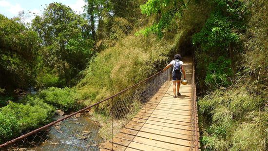 Ab und an ist eine wackelige Hängebrücke zu überqueren