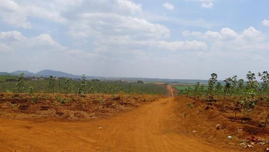 ....und über kahle trockene Hügel (so weit das Auge reicht mit Plantagen zugepflastert)