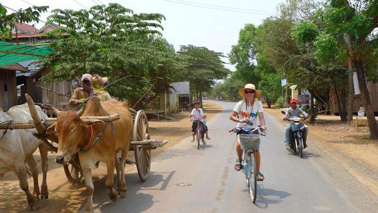 Auf den Strassen ist so ziemlich alles vertreten, von radelnden Touristen bis Ochsenkarren