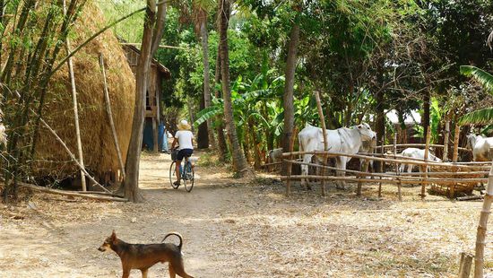 Der Weg führte durch einfachste Dörfer, sozusagen Landleben pur