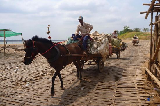 Die Brücke führt auf die Insel Koh Paen. Dort gibt es noch viele Pferdewagen als Transportmittel.