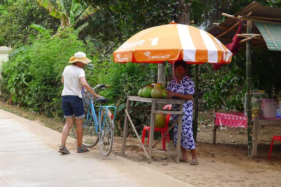 Damit die Vitaminversorgung nicht zu kurz kommt, eine riesige Pamelo frisch vom Baum. Man beachte die Arbeitskleidung: Schlafanzug