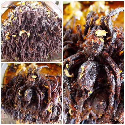 Raststätte in Skoum: frittierte Taranteln als kleiner Snack zwischendurch.
Hat jemand Appetit ? So frisch bekommt man sie sicher selten!
