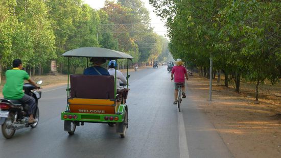 Im Strom der anderen Touristen radeln wir (im Bild ich = der rosa Raser,rechter Bildrand) Richtung Angkor Wat