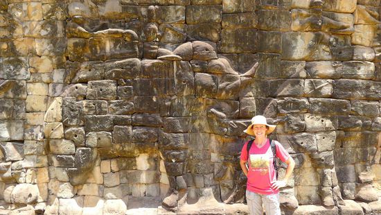 Und die riesigen Wände sind mit Reliefs von Elefanten in allen möglichen Situationen verziert