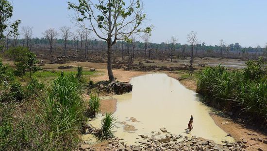 Erstaunlich, wir kamen öft an mehr oder weniger grossen Wasserstellen vorbei in denen gefischt wurde. Hier hätten wir gar kein Leben im Wasser vermutet.
