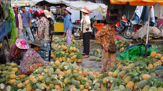 Es gibt viele grosse Frischwarenmärkte, hier eine Umschlagplatz für Ananas. Der Geruch nach frischen Ananas ist einfach umwerfend. Man beachte die Schlafanzug-Arbeitskleidung!