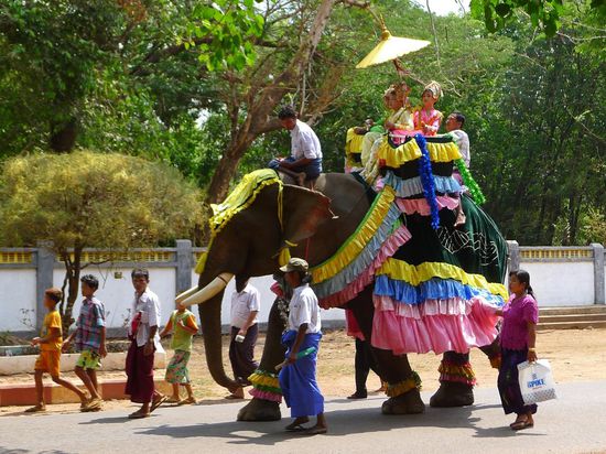 ....sie zogen direkt vor unserer Nase vorbei. Geschmückte Elefanten