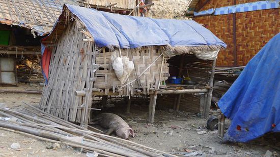 Es ist kaum vorstellbar wie die Menschen hier leben. Das ist nicht der Schweinestall, sondern das Wohnhaus
