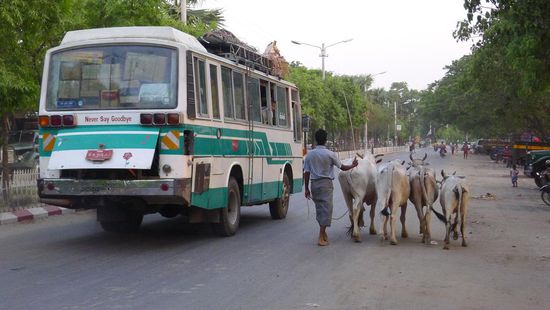 Blick auf die Uferpromenade