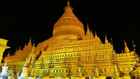 Auch bei Dunkelheit ein goldiger Anblick