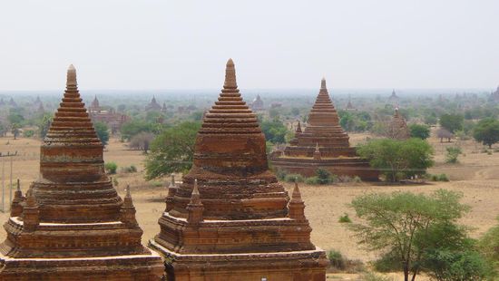 mit weitreichendem Blick auf all die vielen Stupas die bis zum Horizont in die Höhe ragen