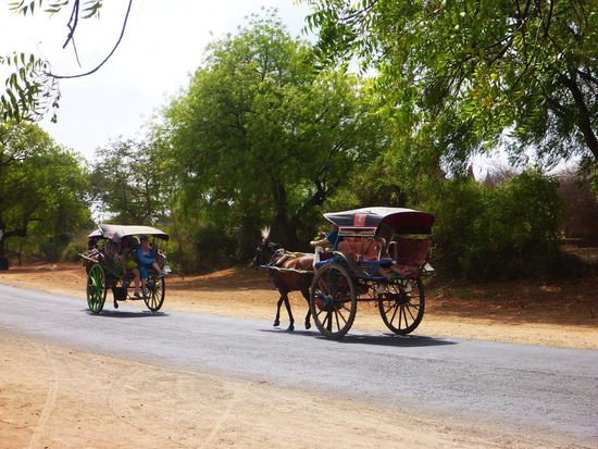 Da schaut man neidisch auf die Pferdekutschen die man mieten kann, wenn man es denn bequem angehen möchte