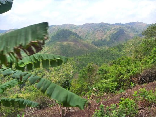 Wir fuhren durch herrliche grüne Berglandschaft