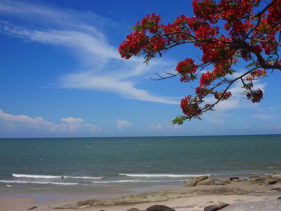 Ein paar Tage am Strand vertrödeln, blauer Himmel, blaues warmes Wasser - was will man mehr!
