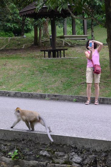 ...ließ uns respektvoll Abstand halten