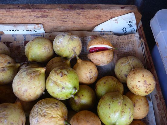 Frische Muskatnüsse