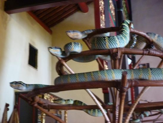 Null Bewegung, nur dekorativ hindrapiert, aber sie lebten doch