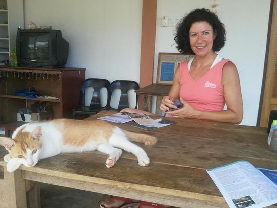 Eine von den 9 hauseigenen Katzen,immer tiefenentspannt im Mittelpunkt.