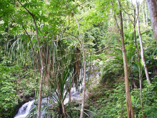 Der Durian Wasserfall, wunderschön mitten im Dschungel