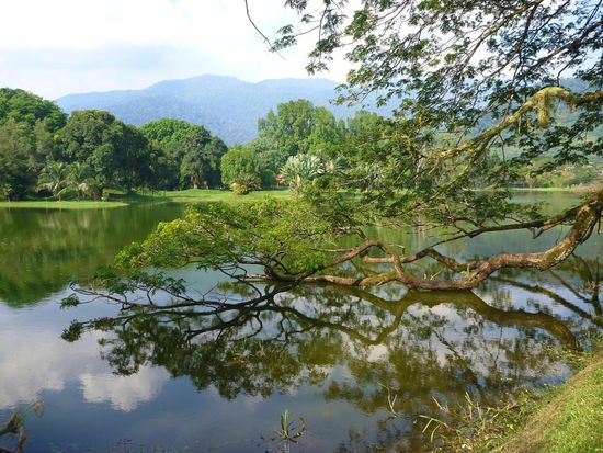 Im Lake Garden, ein schöner grosser Park