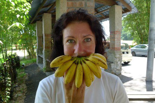 Wieder im Freien, eine Stärkung mit den hiesigen Minibananen.Sind sicher nicht EU-konform,aber kleine Bananen mit riesigem Geschmack. Ja, auch hier sollte man die Schale vor dem Essen entfernen !