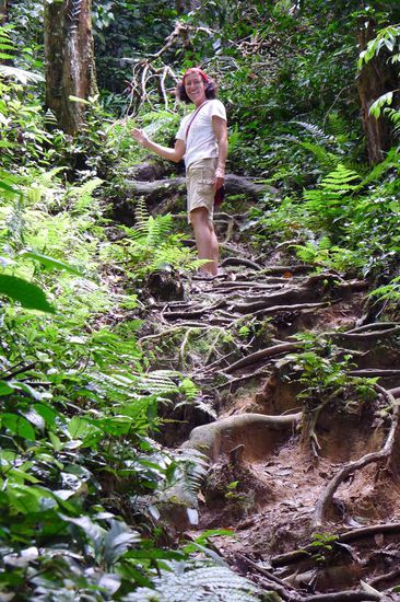 Hier war der Weg noch einfach und relativ trocken
